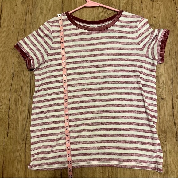 GAP Striped Velvet Maroon or Burgundy and White T-Shirt size medium - Picture 5 of 5